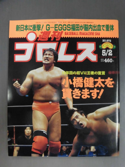Weekly Pro Wrestling 973