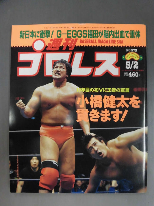 Weekly Pro Wrestling 973