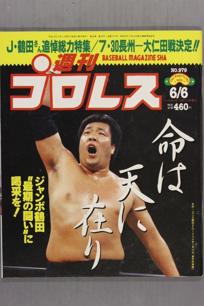 Weekly Pro Wrestling 979