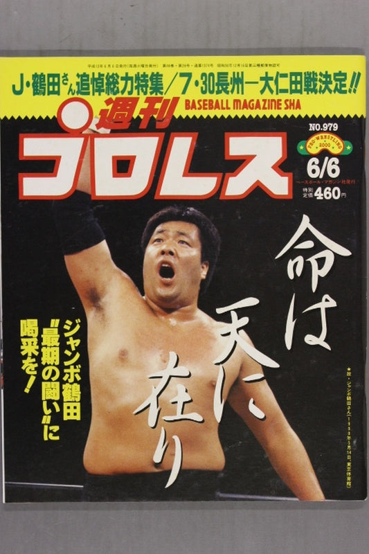 Weekly Pro Wrestling 979