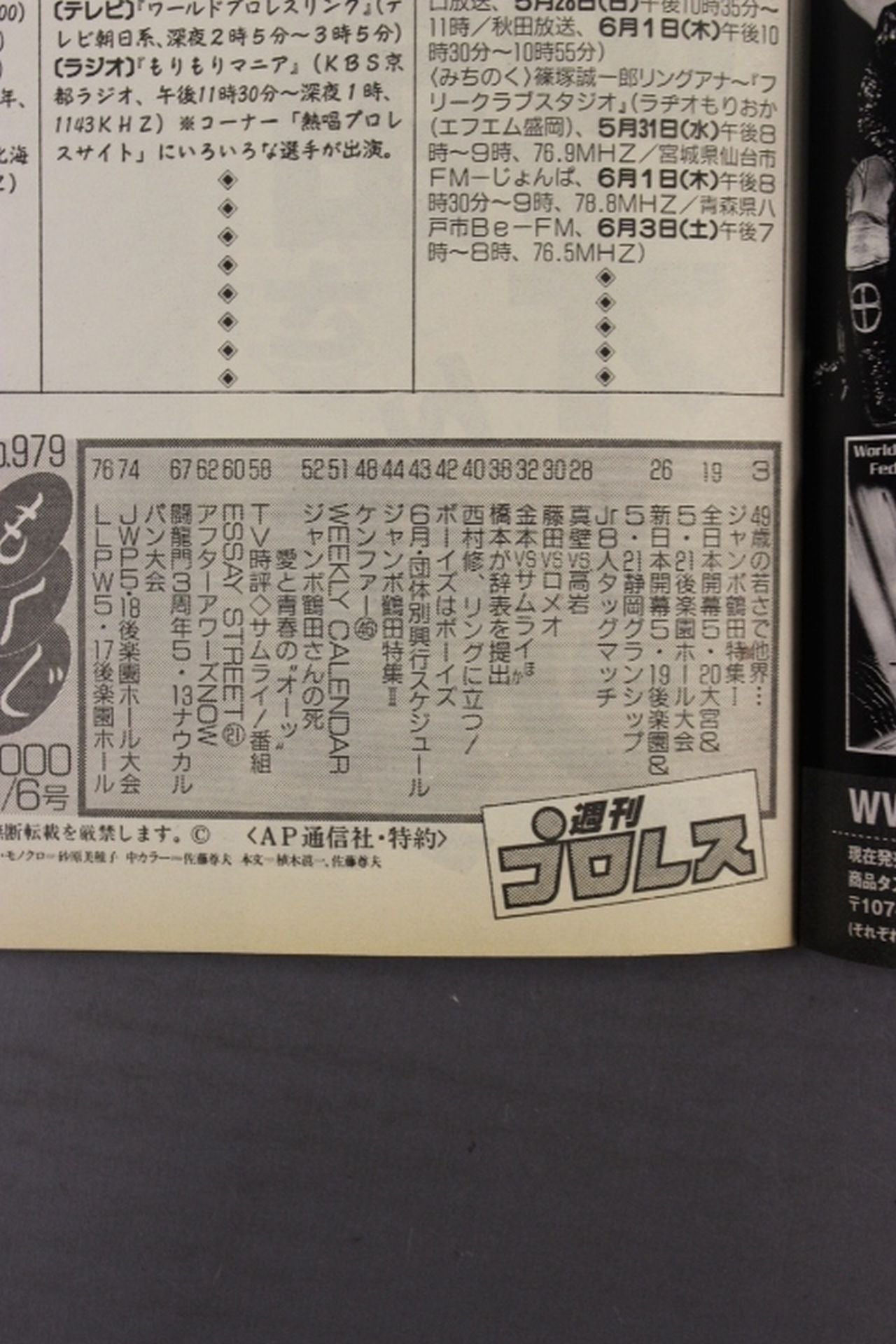 Weekly Pro Wrestling 979