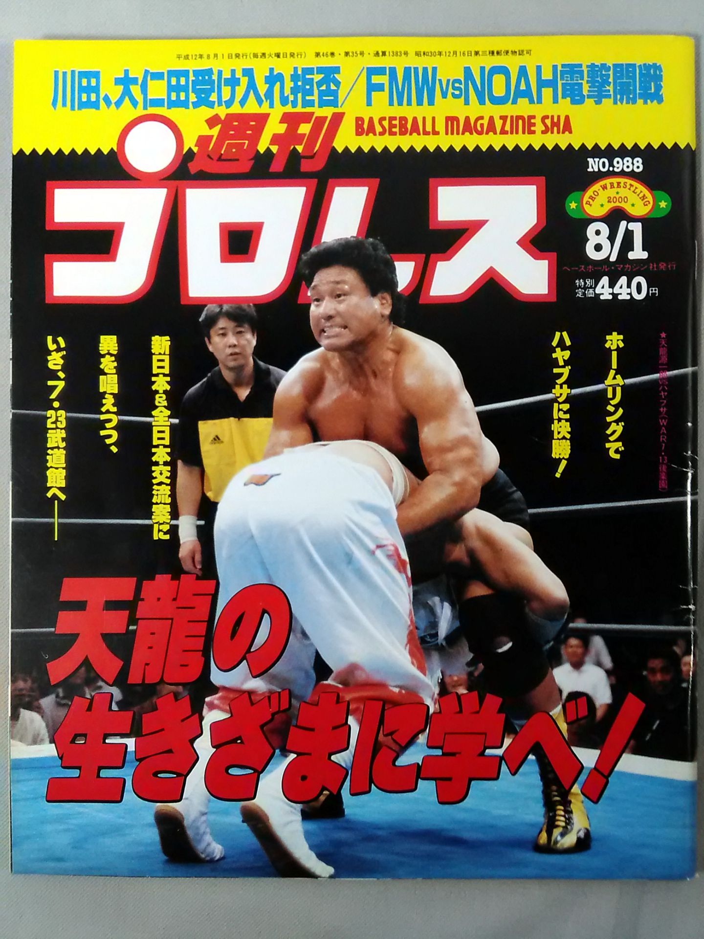 Weekly Pro Wrestling 988
