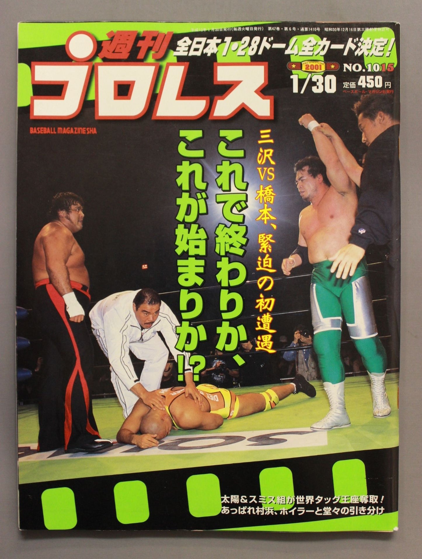 Weekly Pro Wrestling 1015