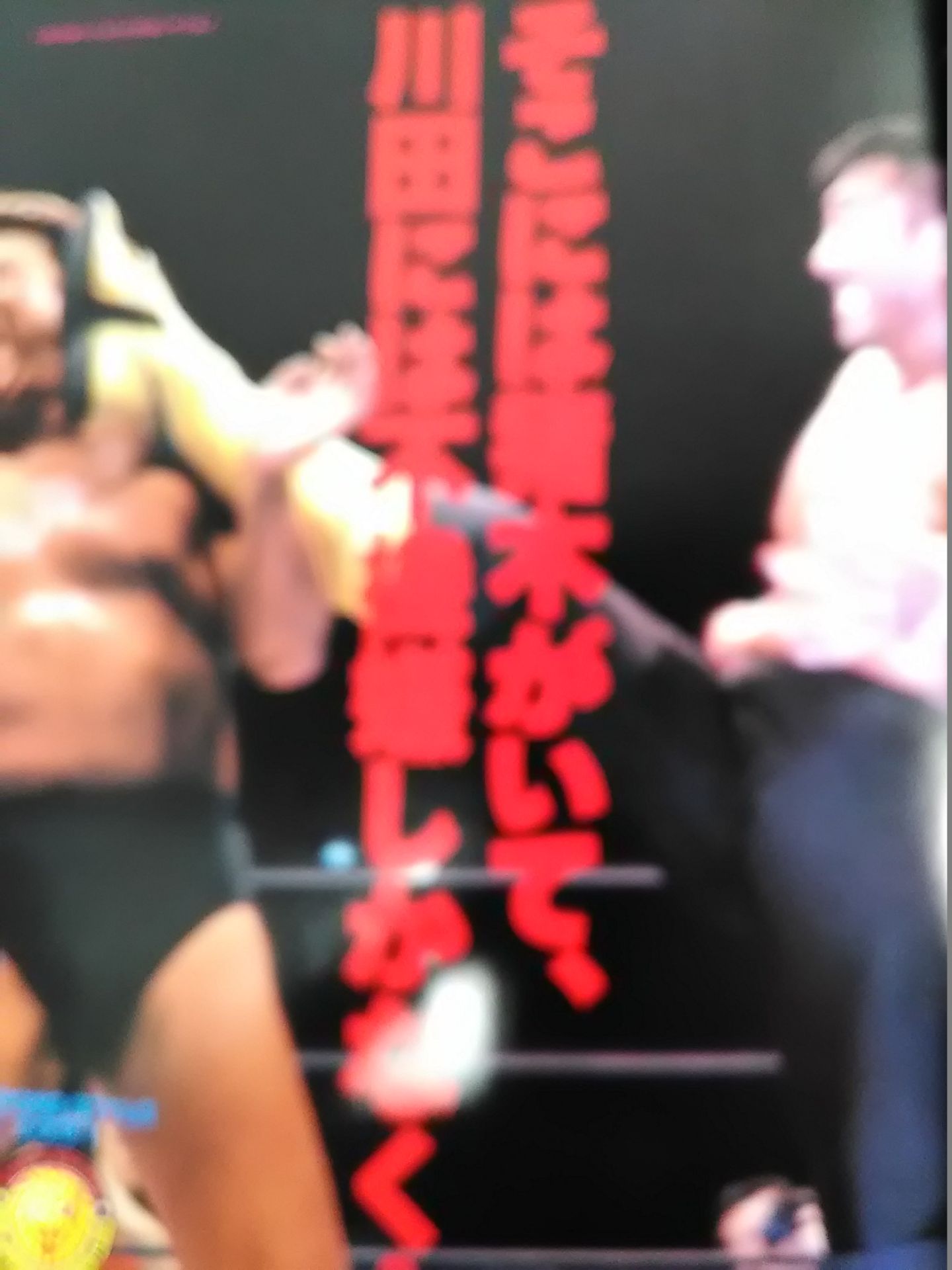 Weekly Pro Wrestling 1028