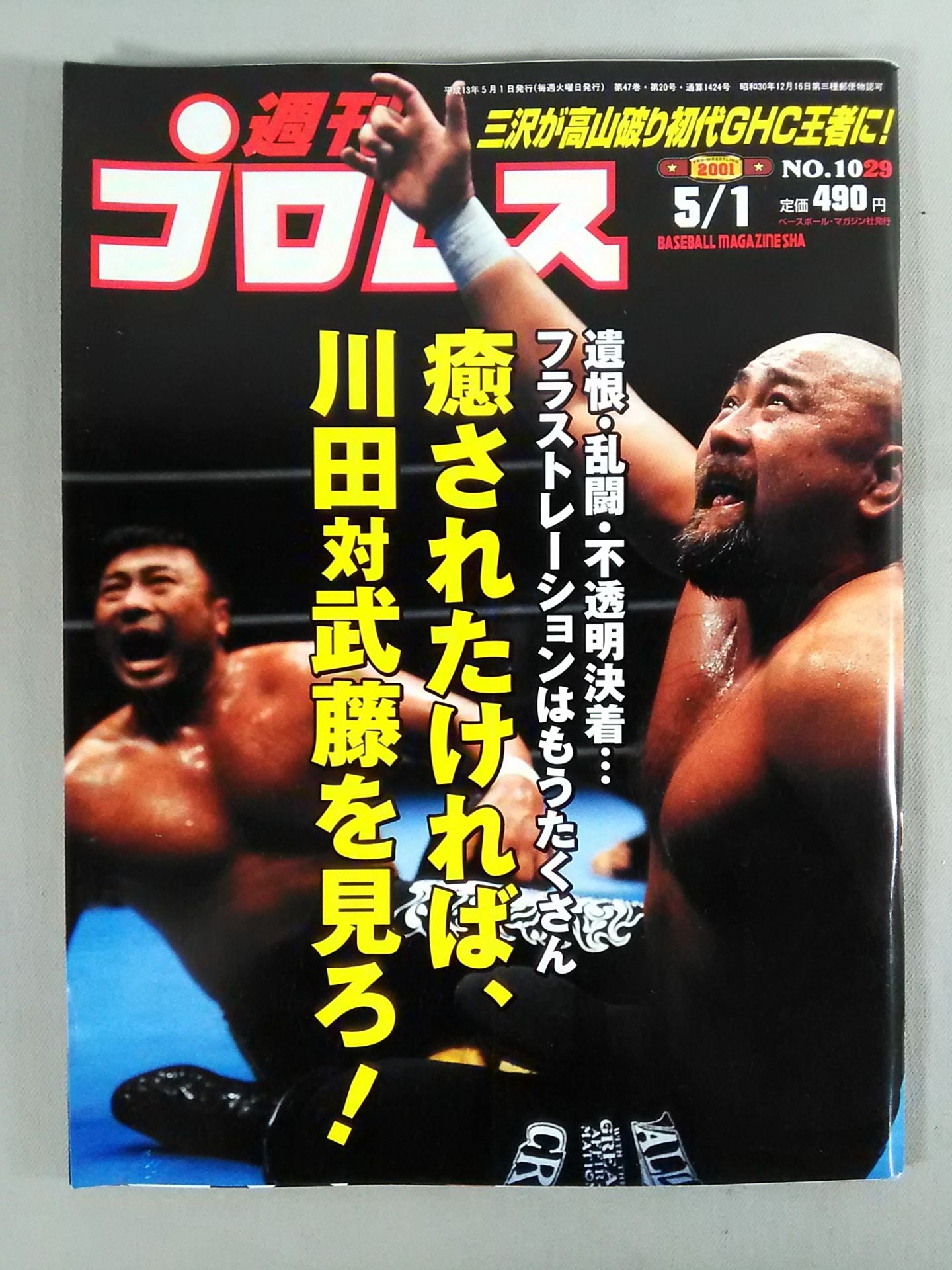 Weekly Pro Wrestling 1029