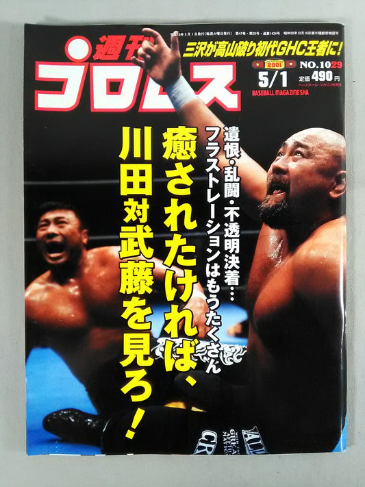 Weekly Pro Wrestling 1029