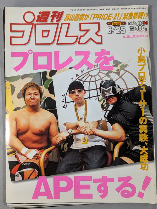 Weekly Pro Wrestling  1095