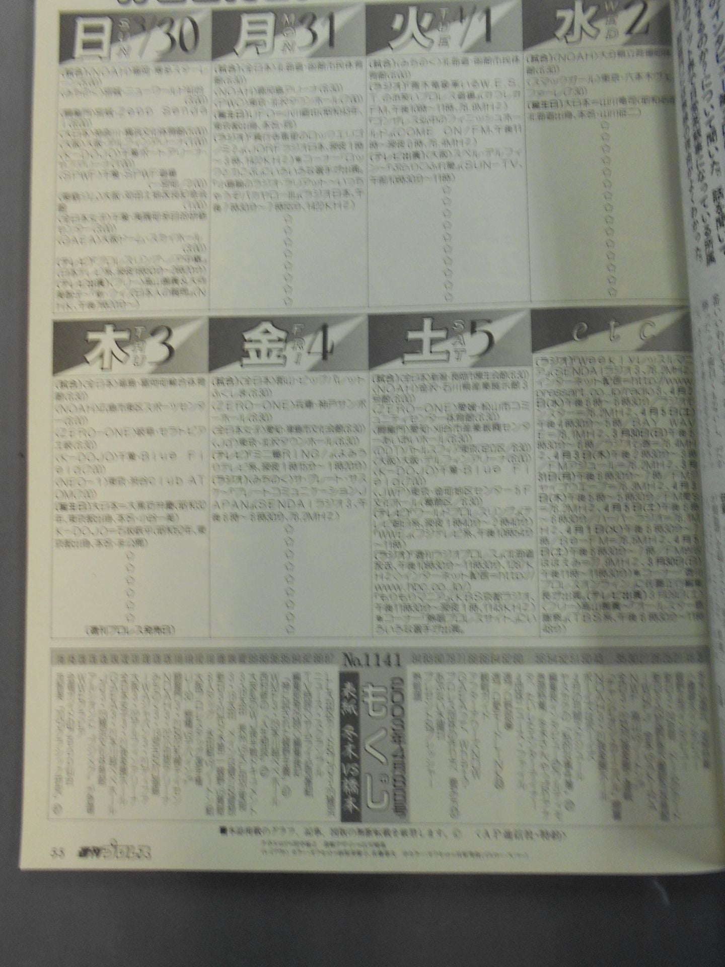 Weekly Pro Wrestling 1141