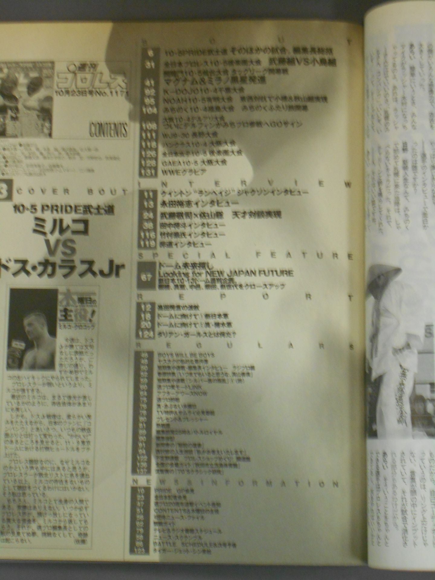 Weekly Pro Wrestling 1171