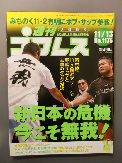 Weekly Pro Wrestling 1175