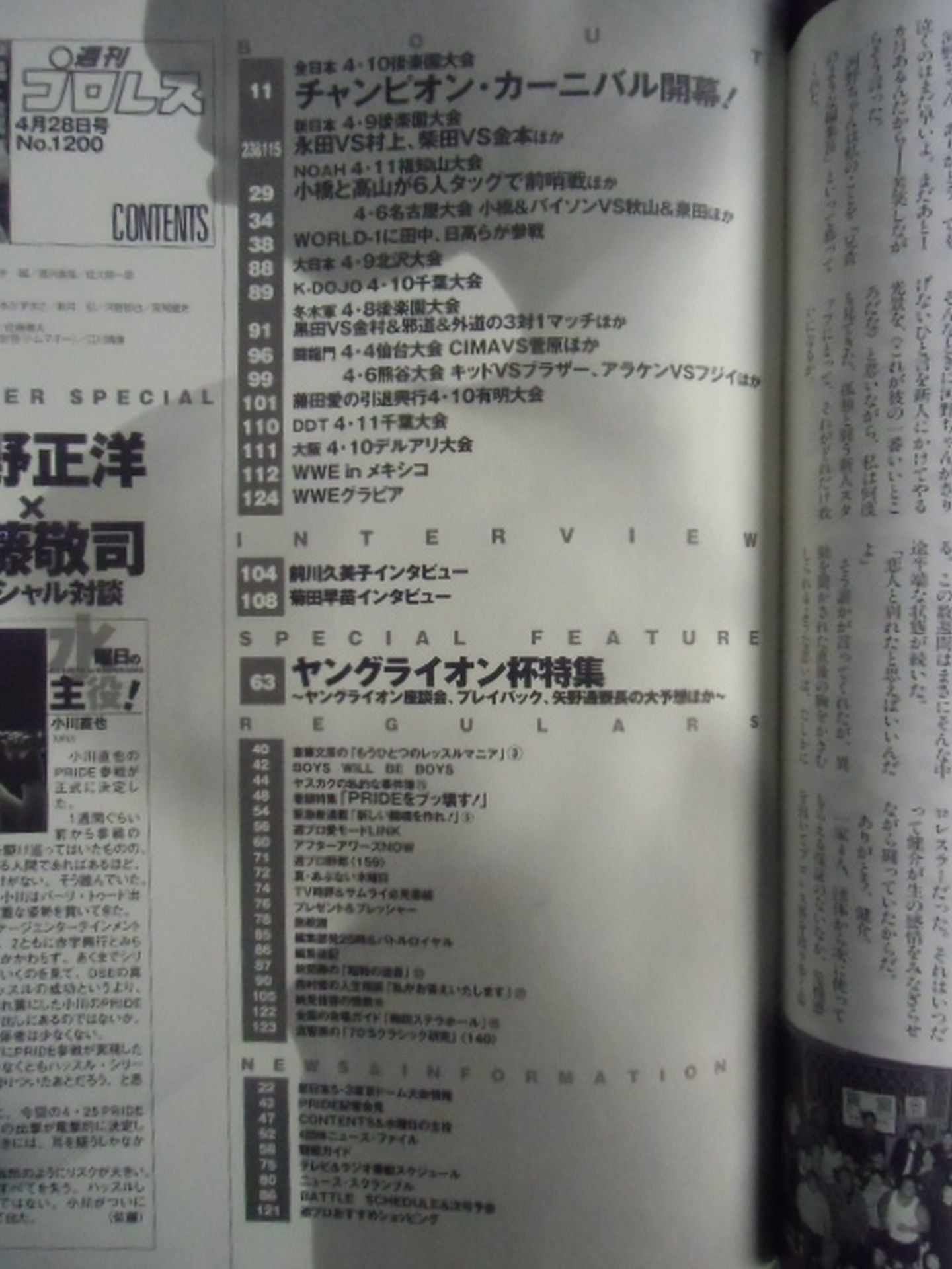 Weekly Pro Wrestling  1200