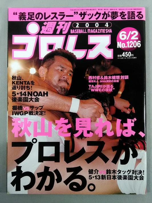 Weekly Pro Wrestling 1206