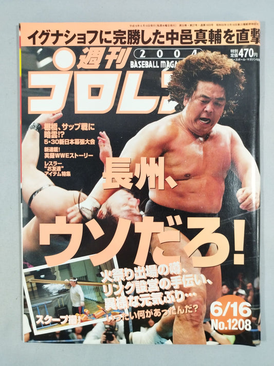 Weekly Pro Wrestling 1208