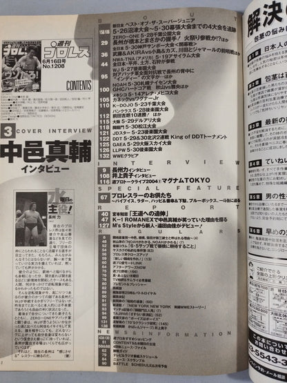 Weekly Pro Wrestling 1208