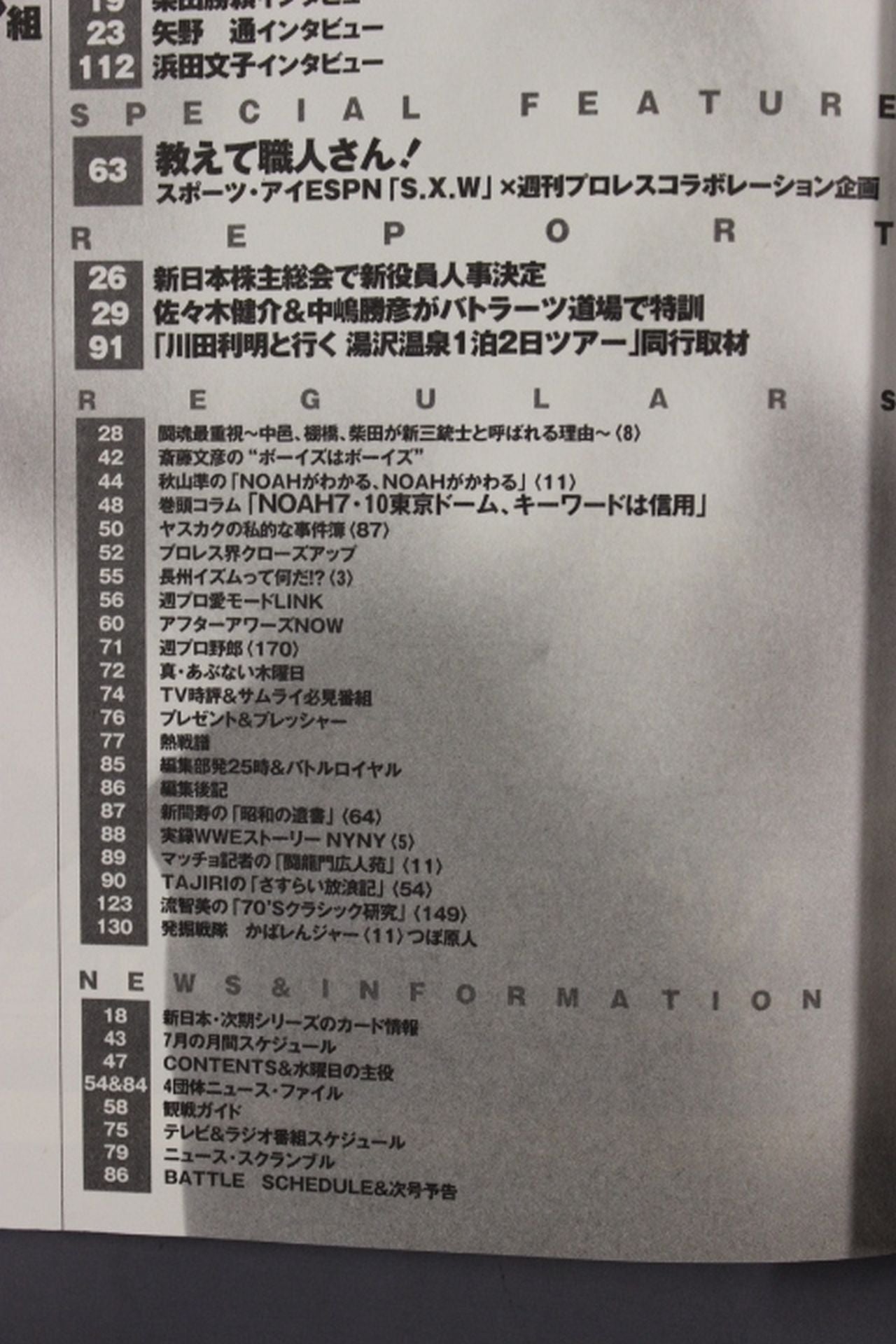 Weekly Pro Wrestling 1212
