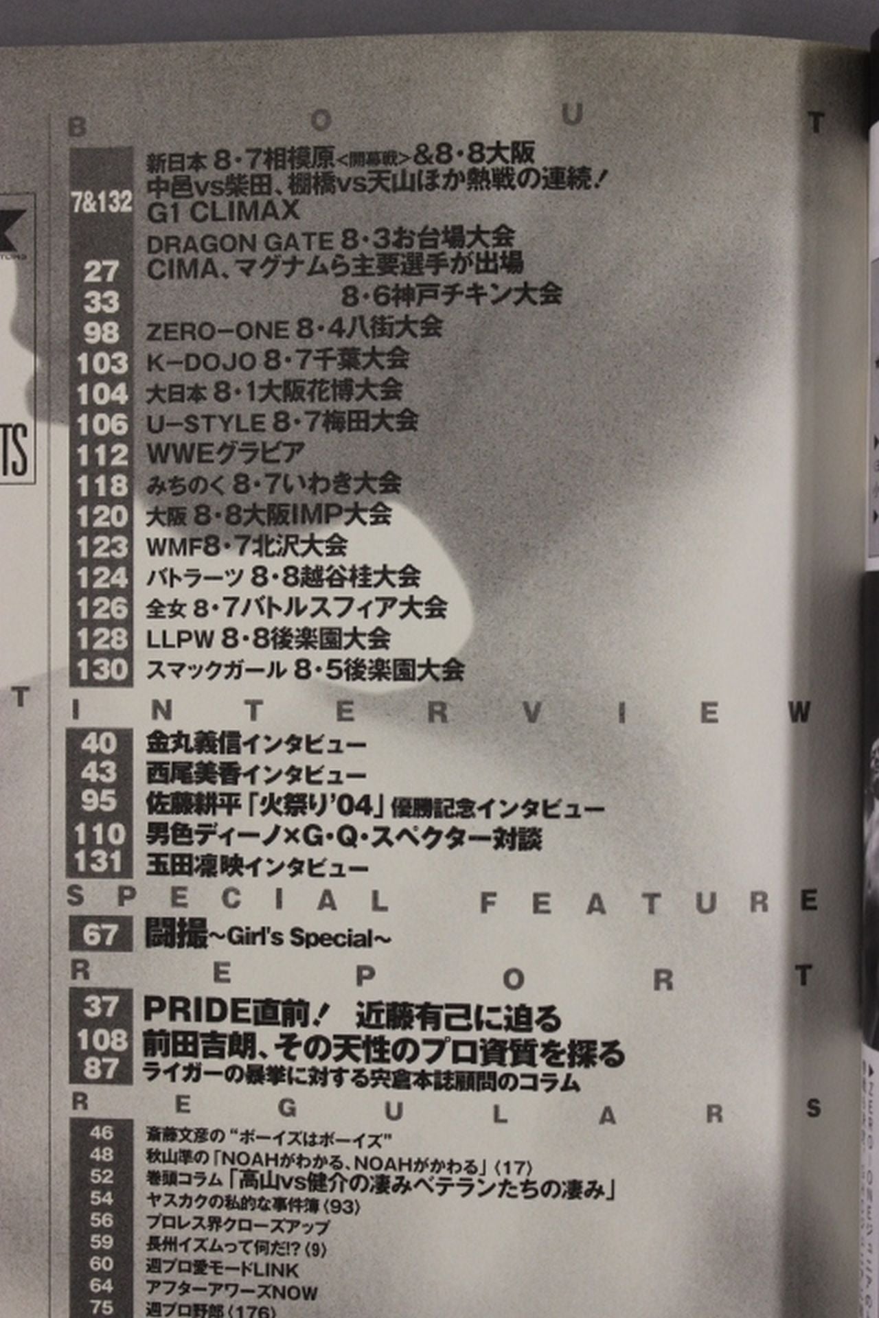 Weekly Pro Wrestling 1219