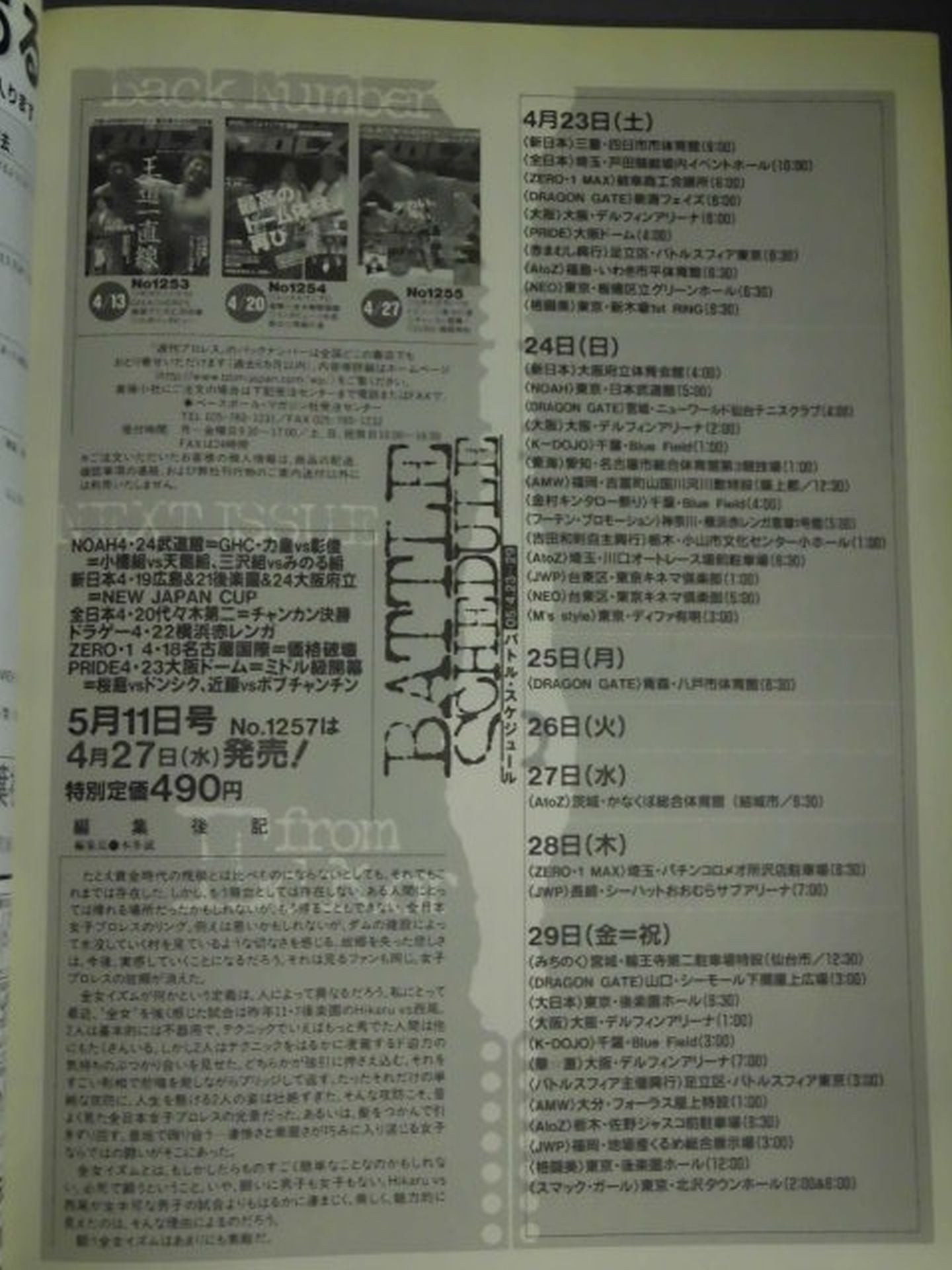 Weekly Pro Wrestling 1256