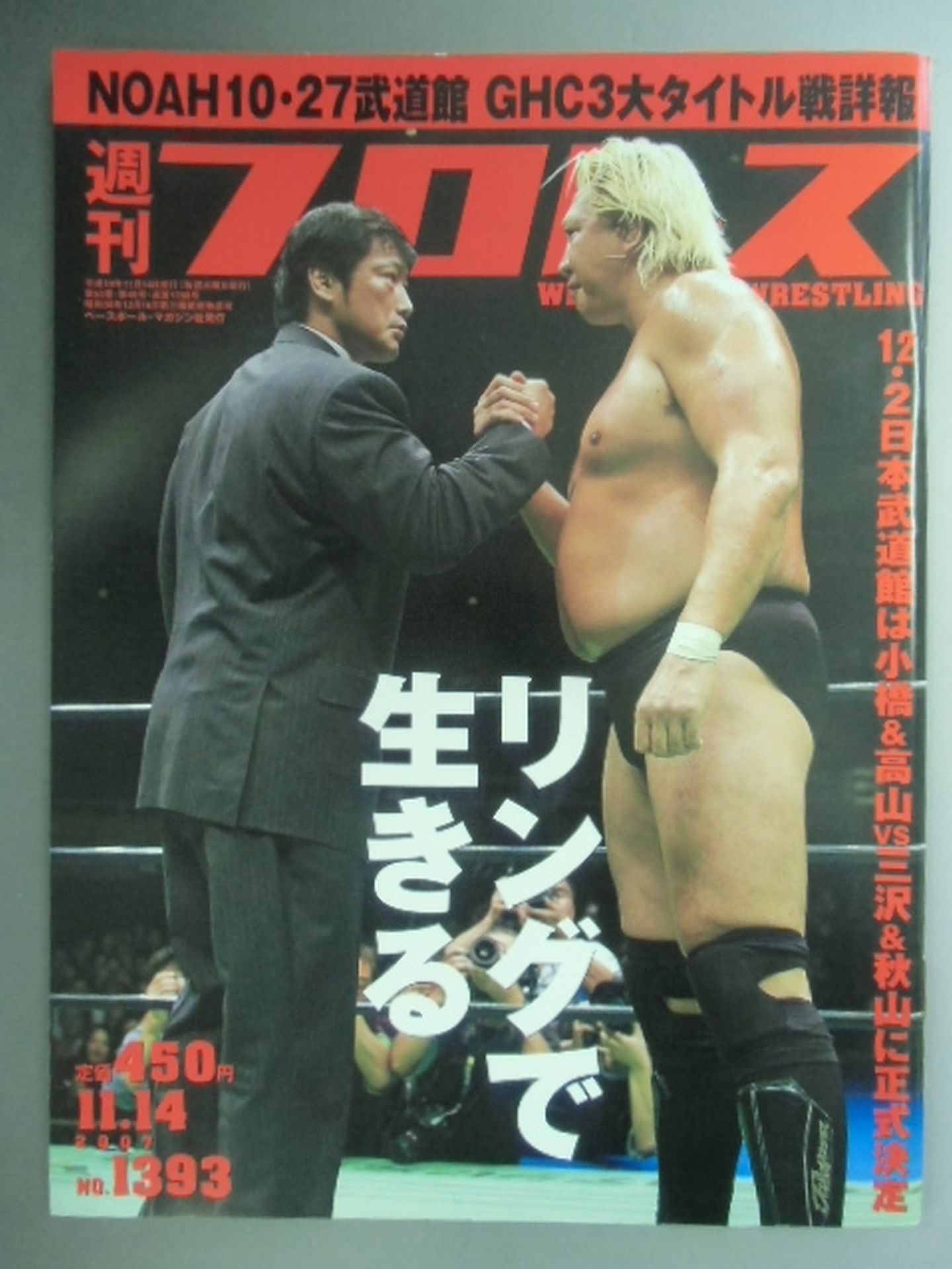 Weekly Pro Wrestling 1393