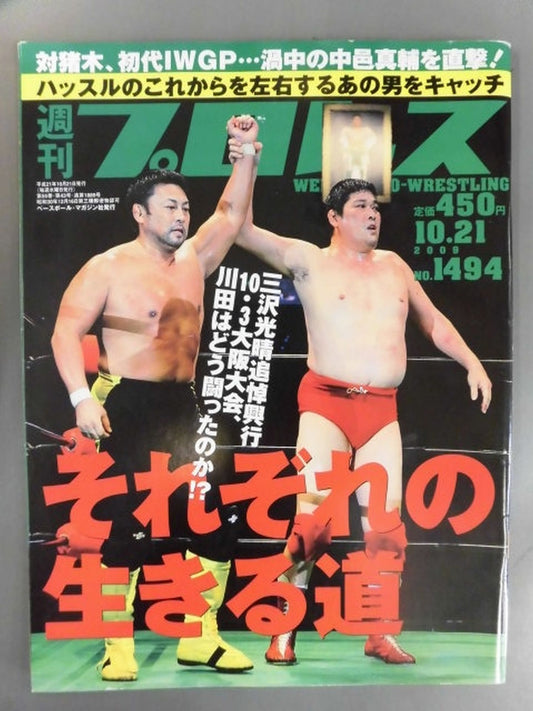 Weekly Pro Wrestling 1494