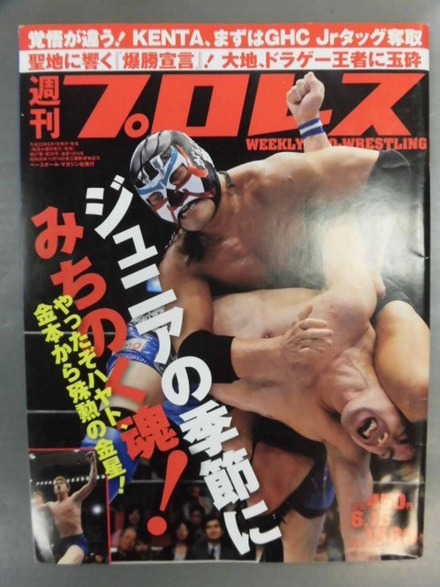 Weekly Pro Wrestling  1580