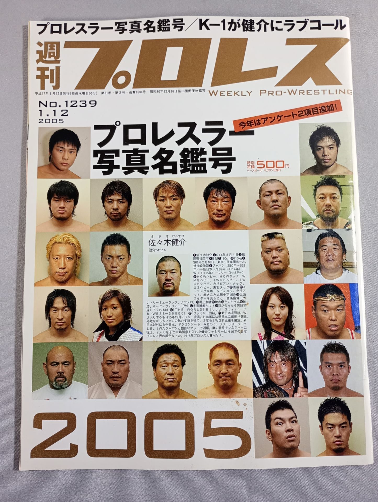 Weekly Pro Wrestling 1239