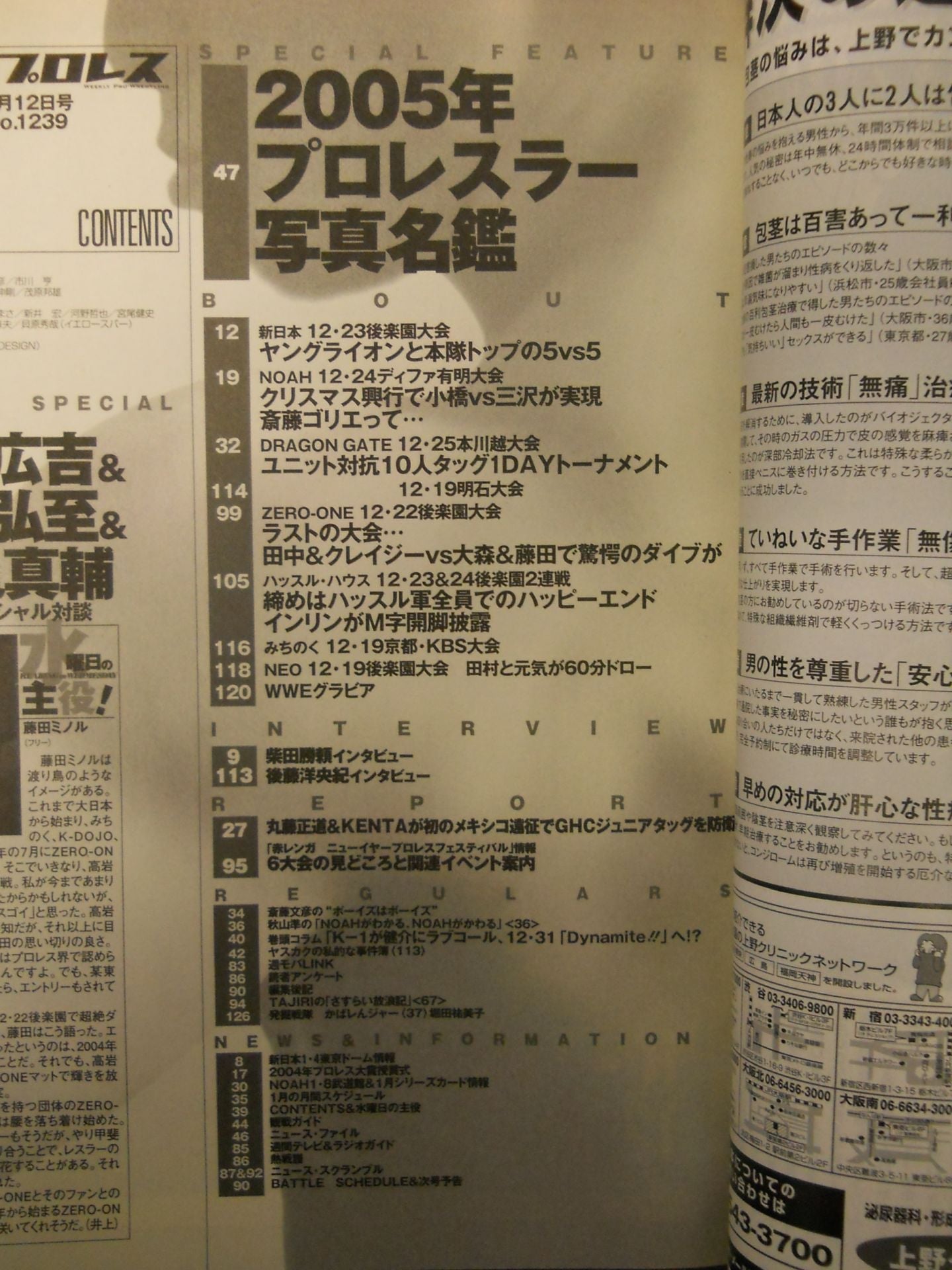 Weekly Pro Wrestling 1239
