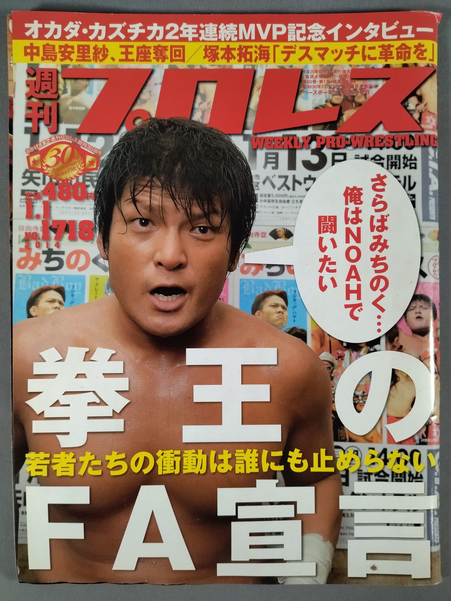 週刊プロレス1718