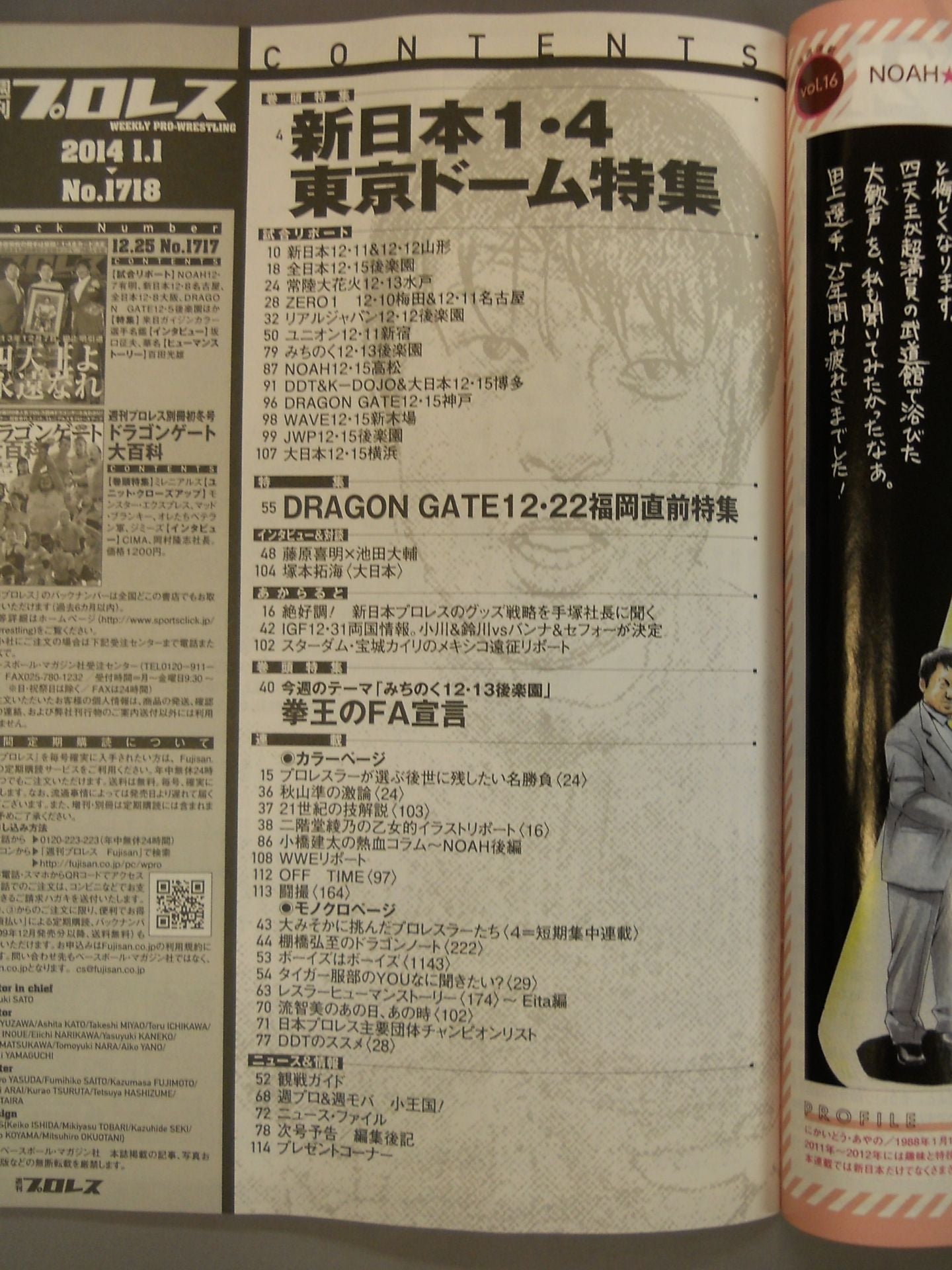 週刊プロレス1718