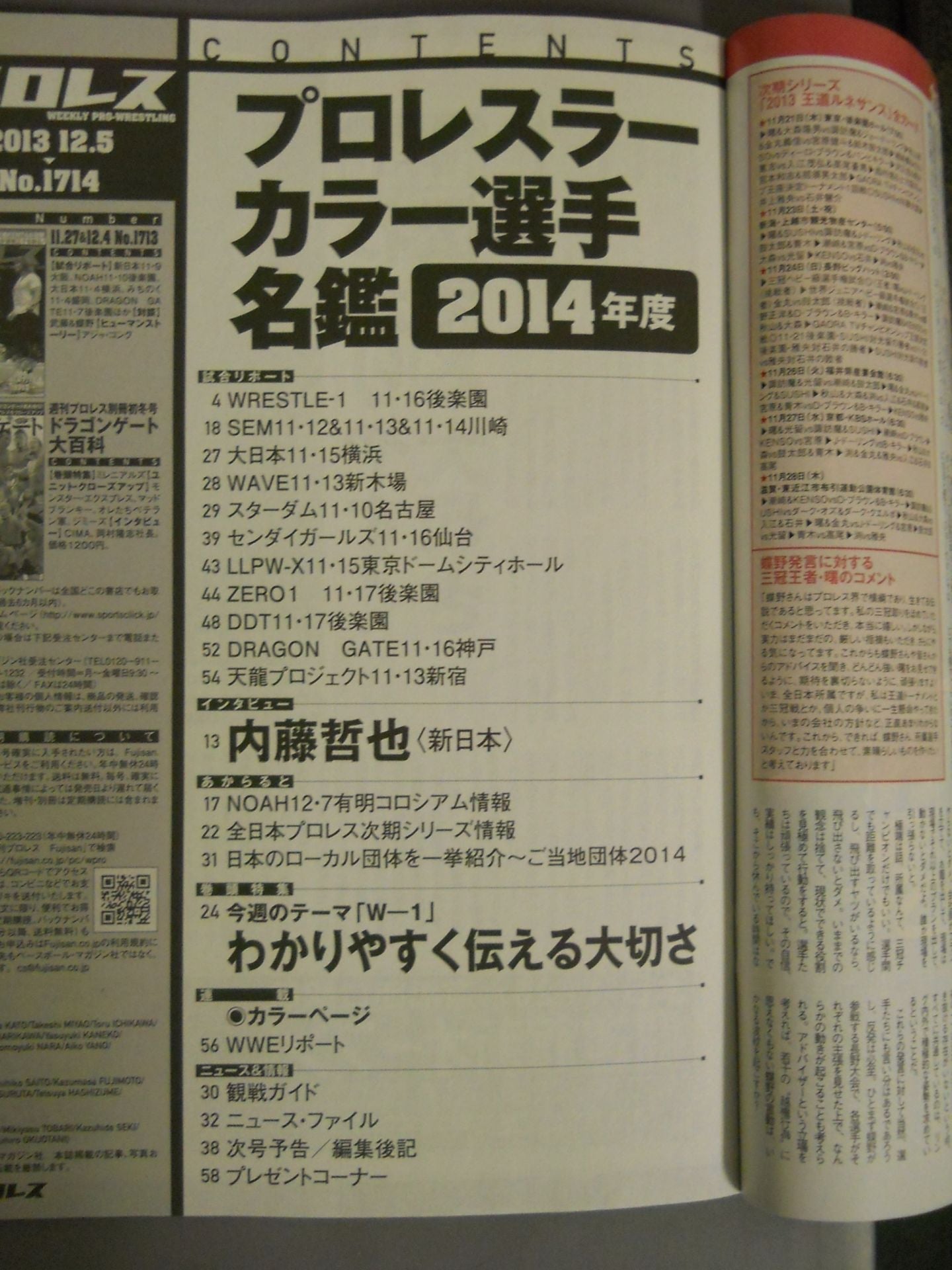 週刊プロレス1714