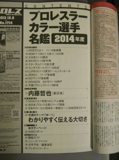 週刊プロレス1714