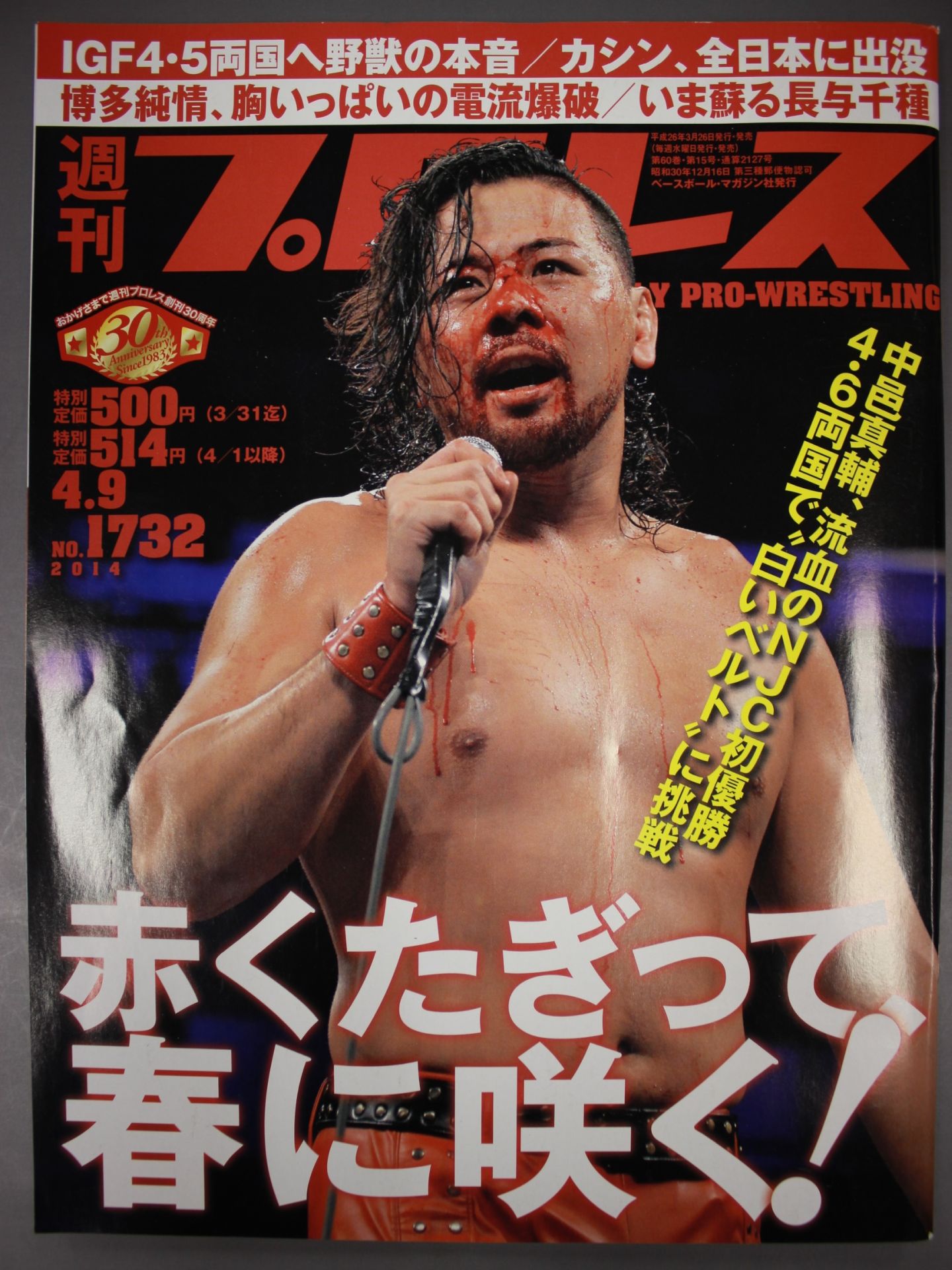 Weekly Pro Wrestling 1732