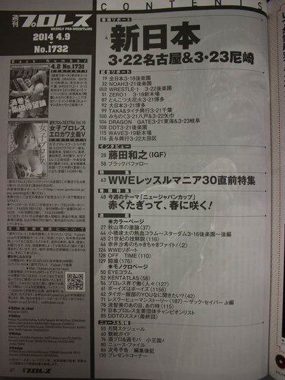 Weekly Pro Wrestling 1732