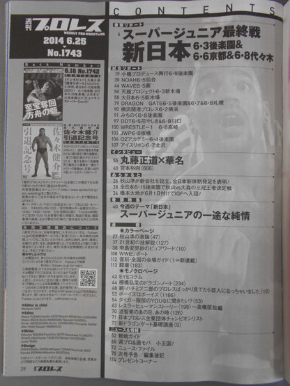 週刊プロレス1743