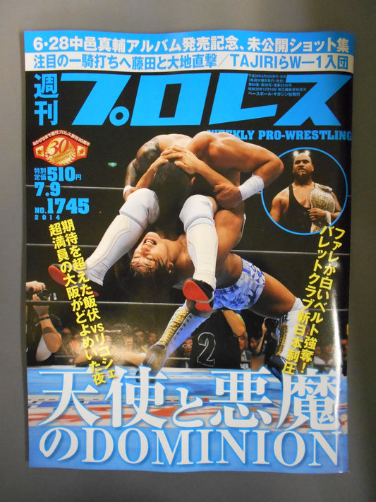 Weekly Pro Wrestling 1745