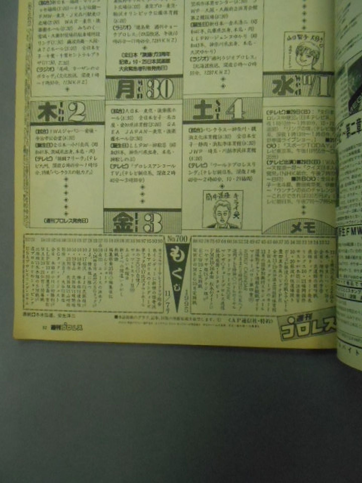 Weekly Pro Wrestling 700