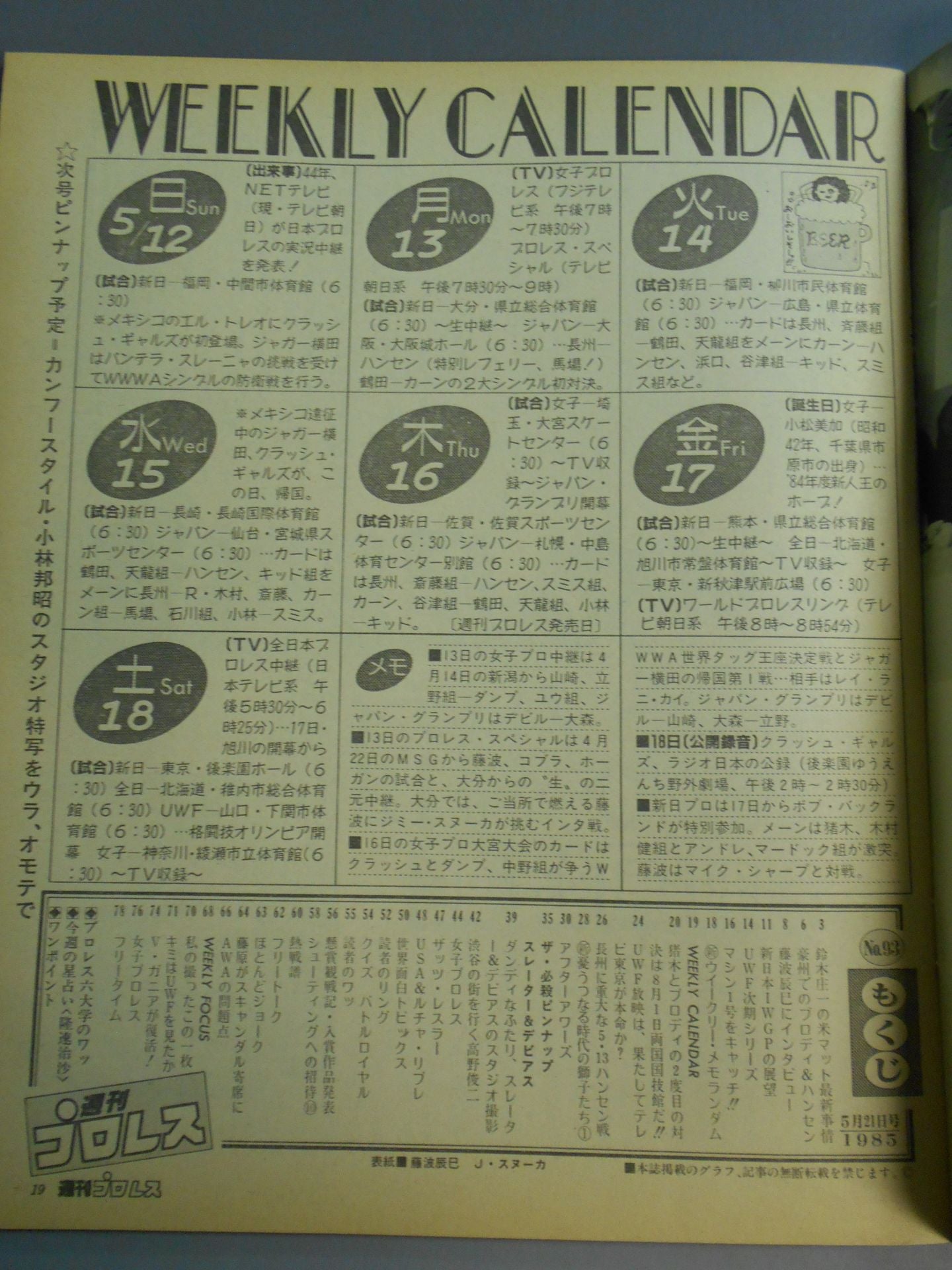 Weekly Pro Wrestling 93