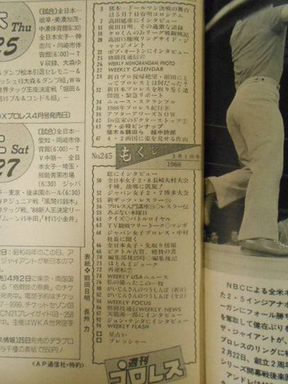 週刊プロレス245
