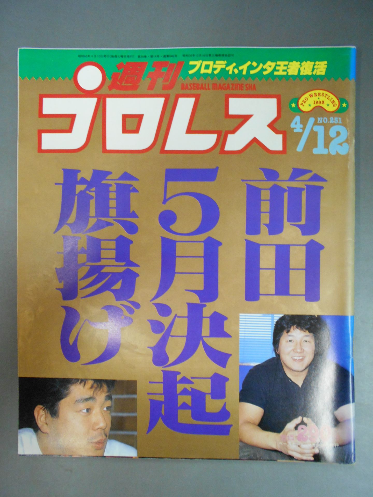 Weekly Pro Wrestling  251