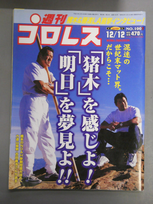 Weekly Pro Wrestling 1007