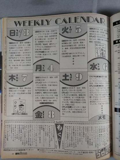 Weekly Pro Wrestling  607