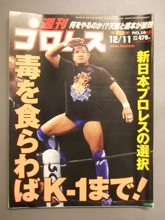 Weekly Pro Wrestling 1065