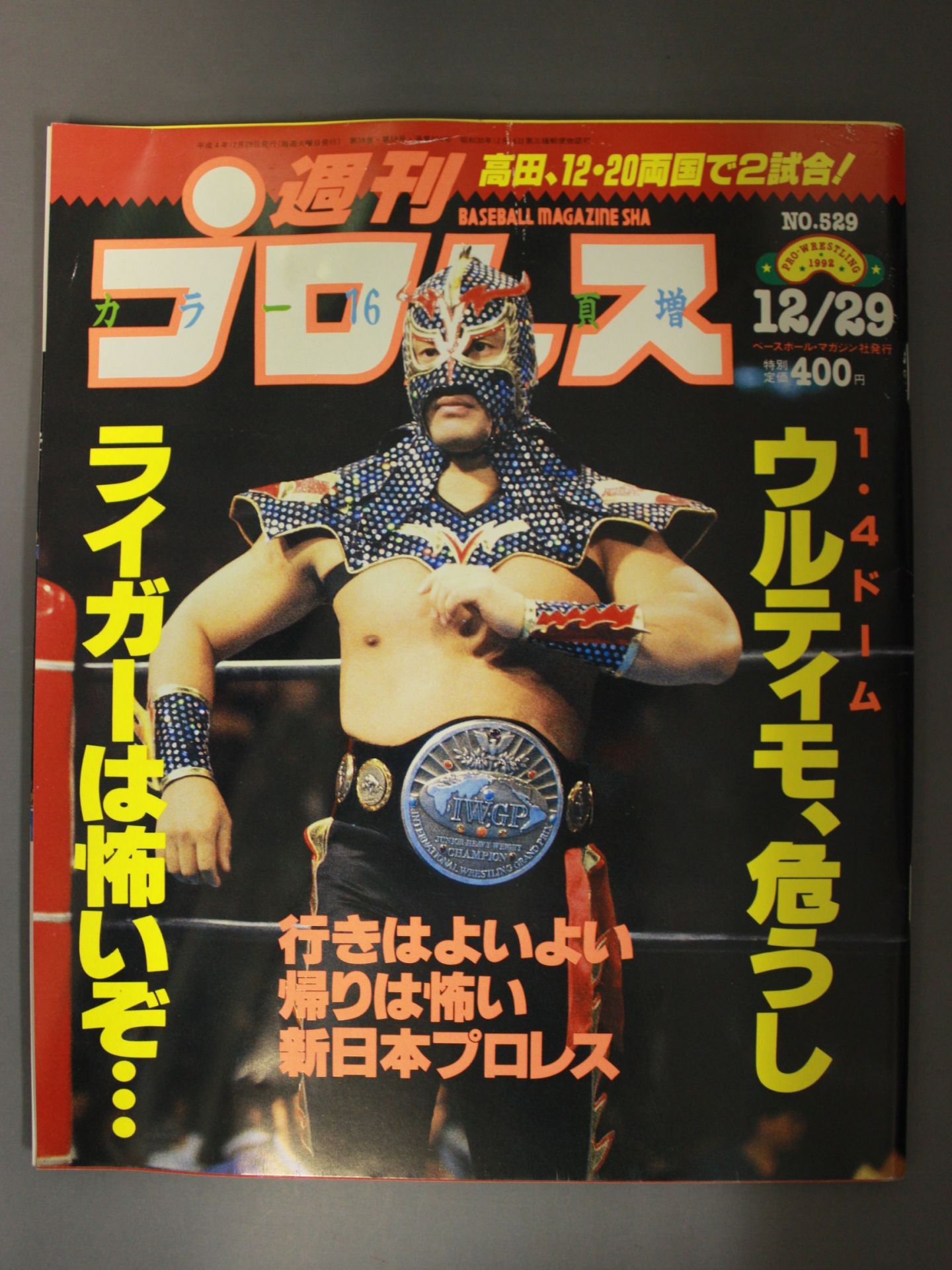 Weekly Pro Wrestling 529