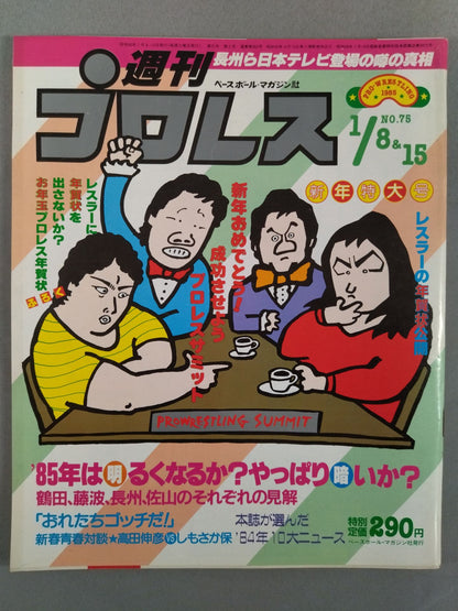 週刊プロレス75
