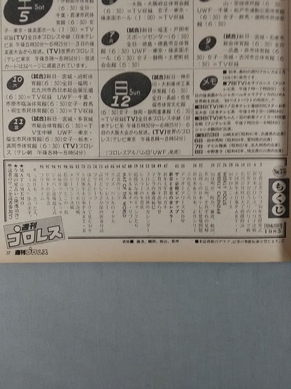 週刊プロレス75