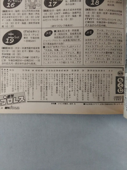 Weekly Pro Wrestling 76