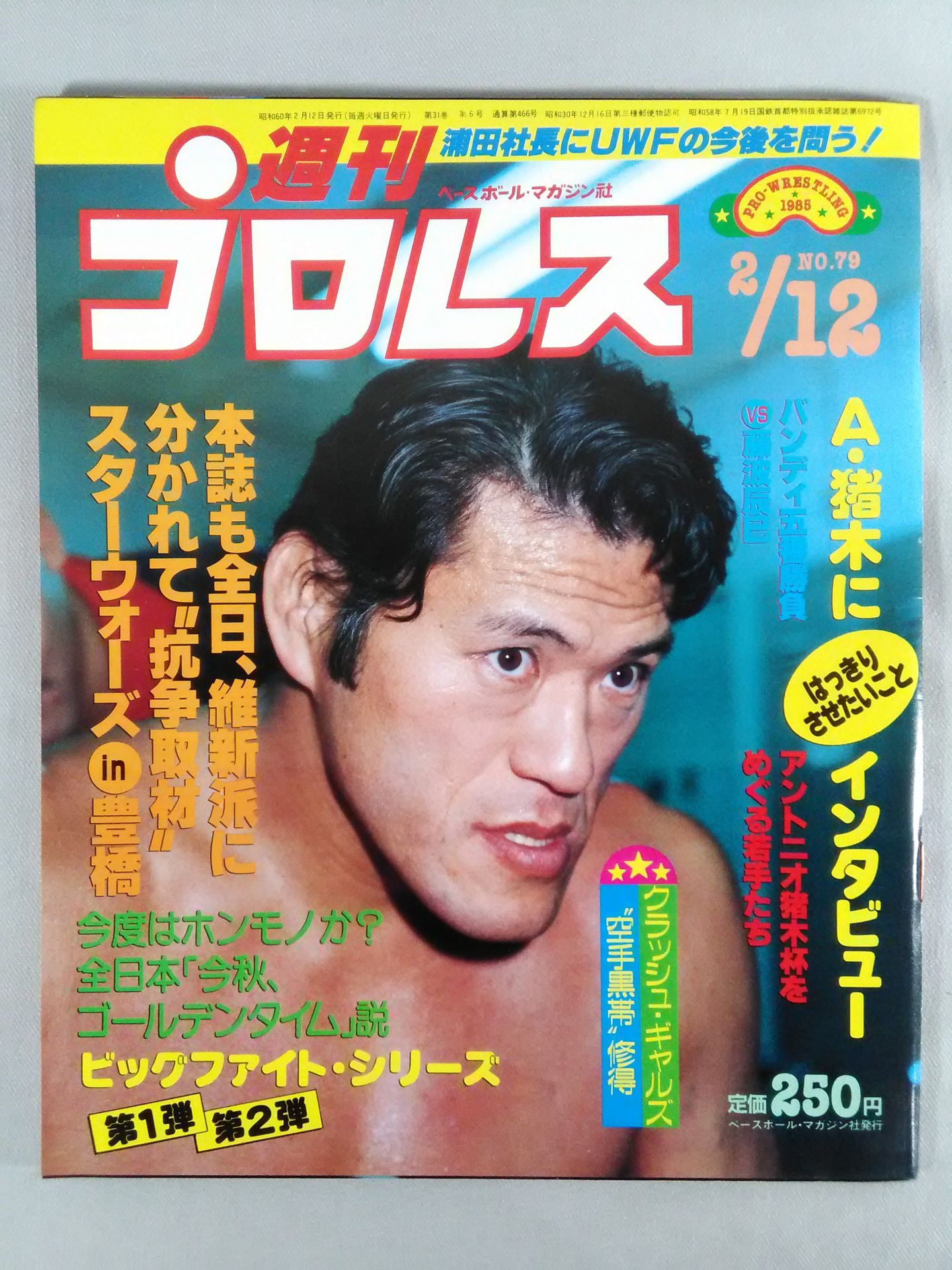 Weekly Pro Wrestling 79