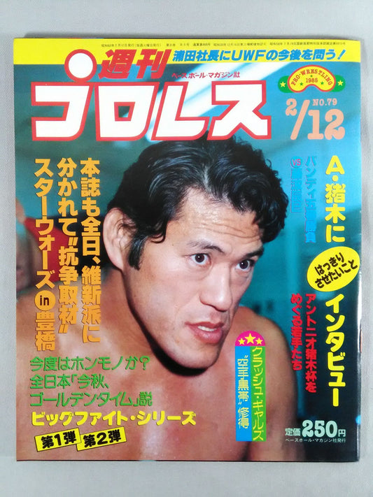 Weekly Pro Wrestling 79