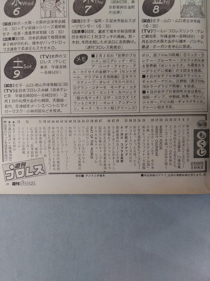 Weekly Pro Wrestling 79