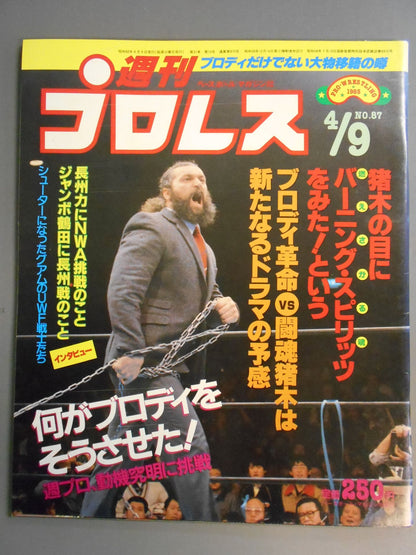 Weekly Pro Wrestling 87