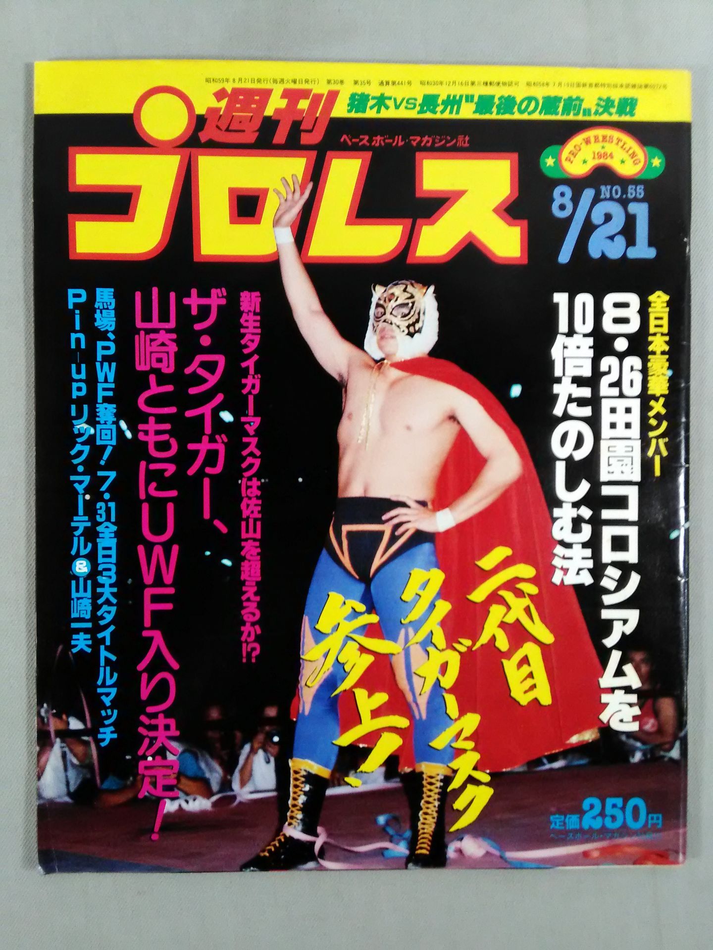 Weekly Pro Wrestling 55